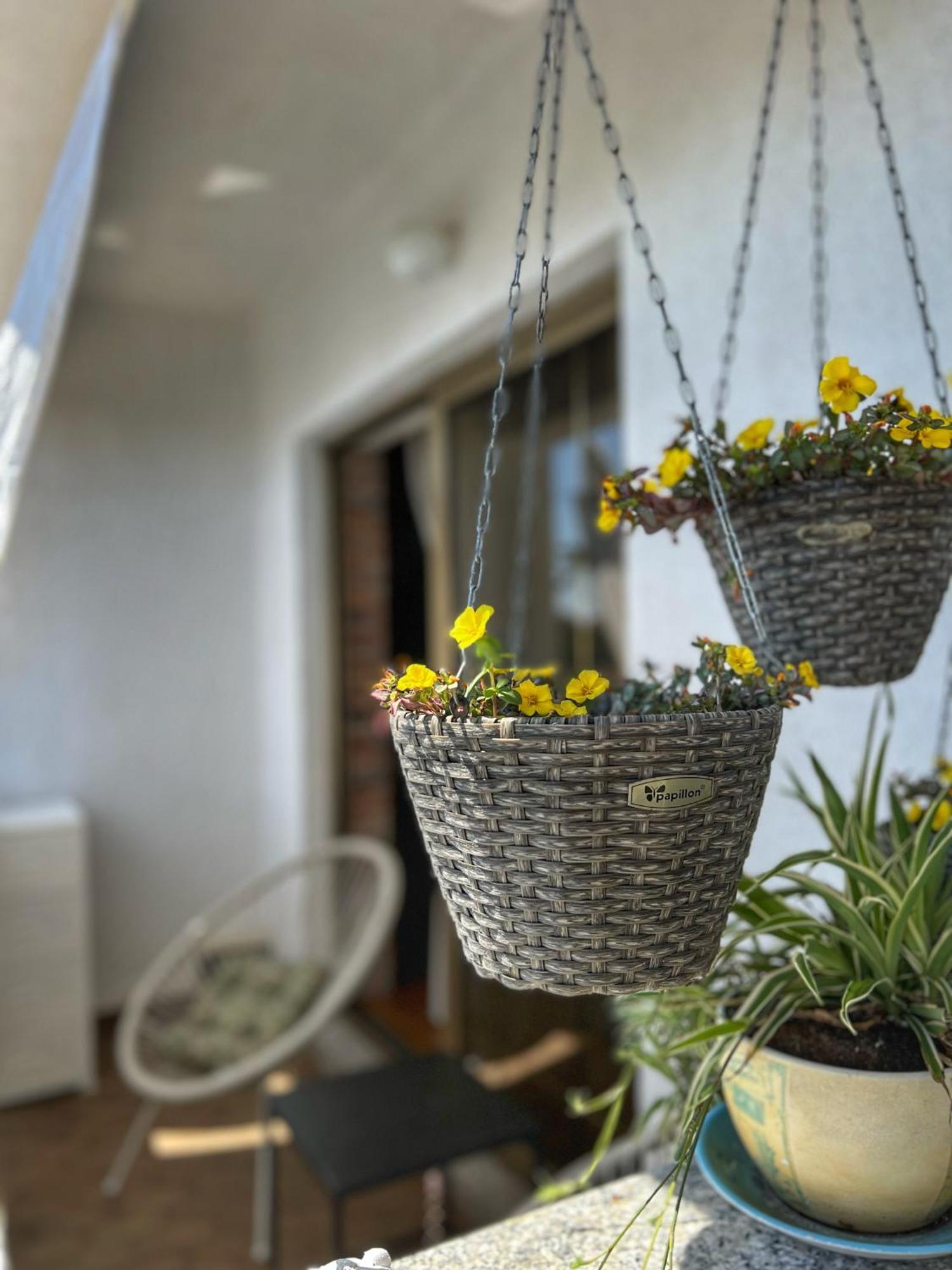 Mia Apartament Palit